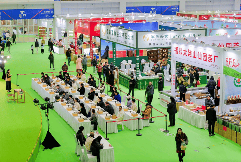 幕：以茶为媒香溢甬城共筑茶业发展新平台不朽情缘网站2025宁波茶博会盛大启(图2)