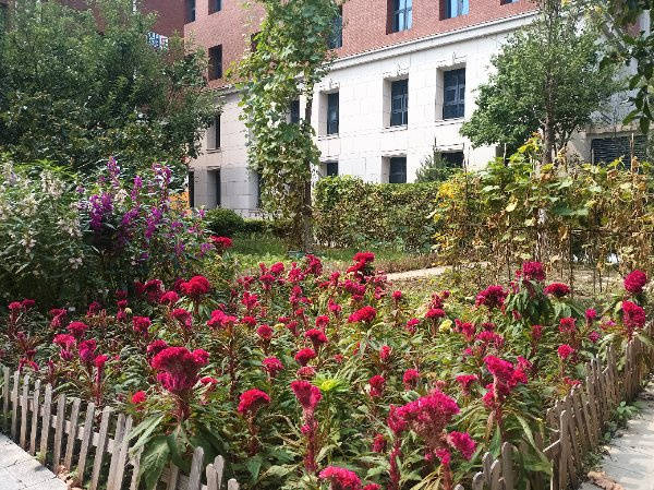 温泉康养养老院一览表|北京市顺义区新安居美和养老照料中心 活力老人娱乐康养 2026最新(图23) 温泉康养养老院一览表|北京市顺义区新安居美和养老照料中心 活力老人娱乐康养 2026最新(图23)